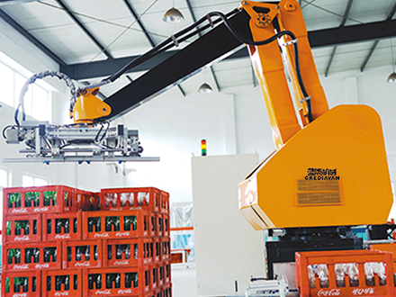 Packing Palletizing System