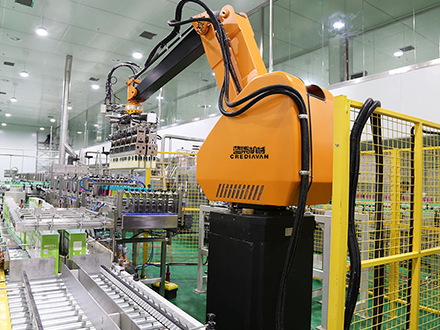 Palletizing Robot