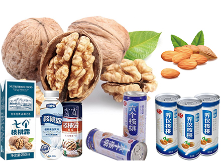 Peanut/ Walnut Milk Beverage Processing Line