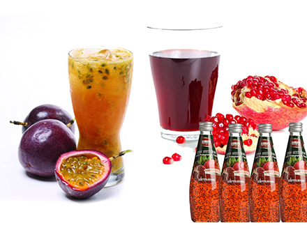 Passion Fruit/Guava Beverage Processing Line