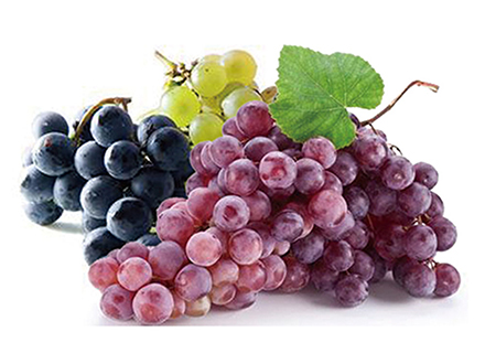 Grape Beverage Processing Line