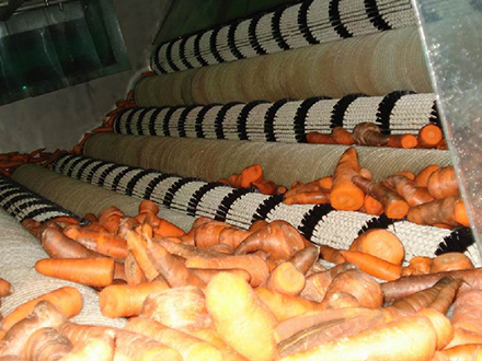 Carrot Beverage Processing Line