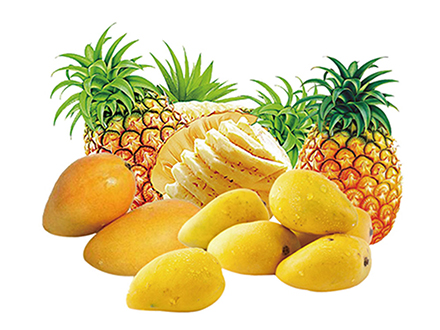 Mango/Pineapple Juice Processing Plant