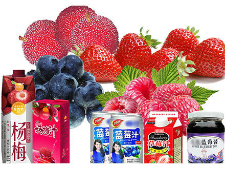 Blueberry/Raspberry/Strawberry Beverage Processing 