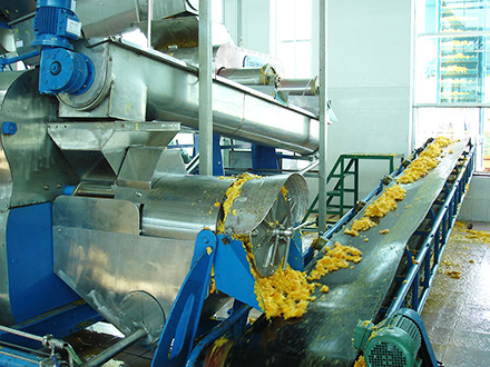 Citrus Orange Processing Line