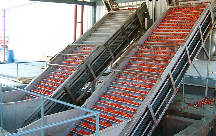 Tomato Processing Line